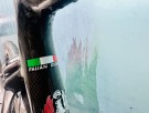 Brukt landeveissykkel Bianchi C2C Carbon Monocoque - Medium/Large (55cm) thumbnail